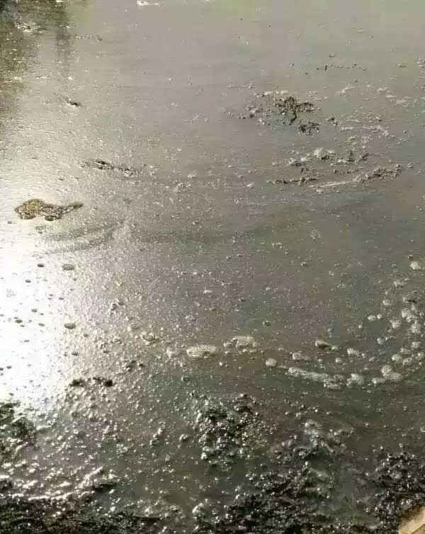 河蟹塘为什么有油膜?油膜有什么危害?怎么处理油膜?